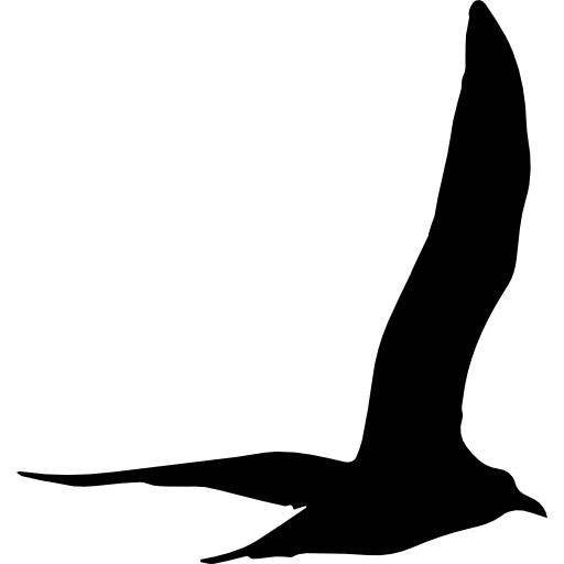 eagle_image